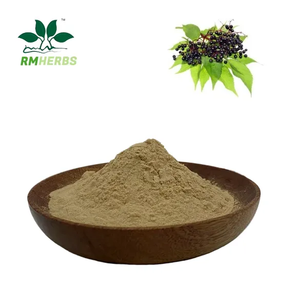 프리미엄 엘더베리 잎 분말