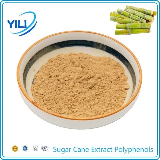 화장품 원료 항산화 사탕수수 추출물 폴리페놀 20% 분말