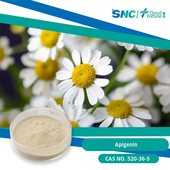 항산화 지원 및 활력을 위한 100% 천연 카모마일 파우더 아피제닌