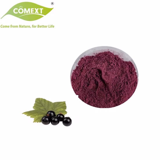 Comext Natural Bulk Supply 마키베리 파우더(산화방지제)